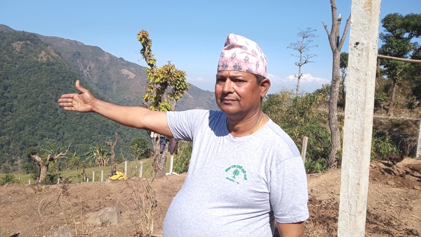 राजमार्गको साढे दुई तलाको घर बेचेर कृषिमा लगानी,  ८२ रोपनीको झाडी फाडेर गुप्तप्रसाद रेग्मीले गरे तरकारी खती