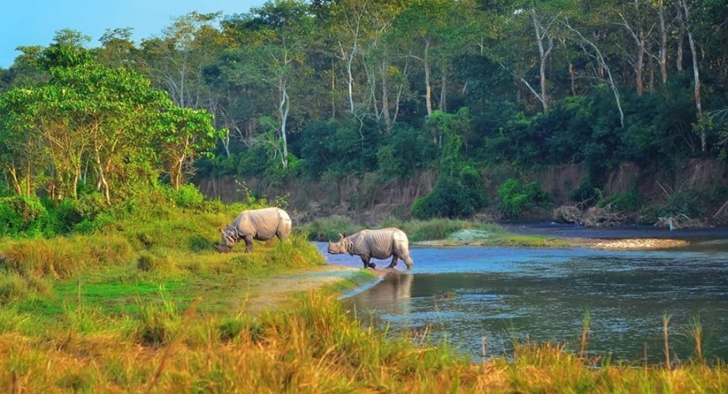 अङ्ग्रेजी नयाँ वर्षमा पनि आएनन् सौराहामा पर्यटक