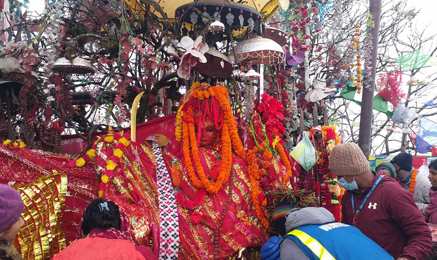 पाथीभरामा चढाइएका सुन–चाँदी रिफाइन, लिलामीको तयारी