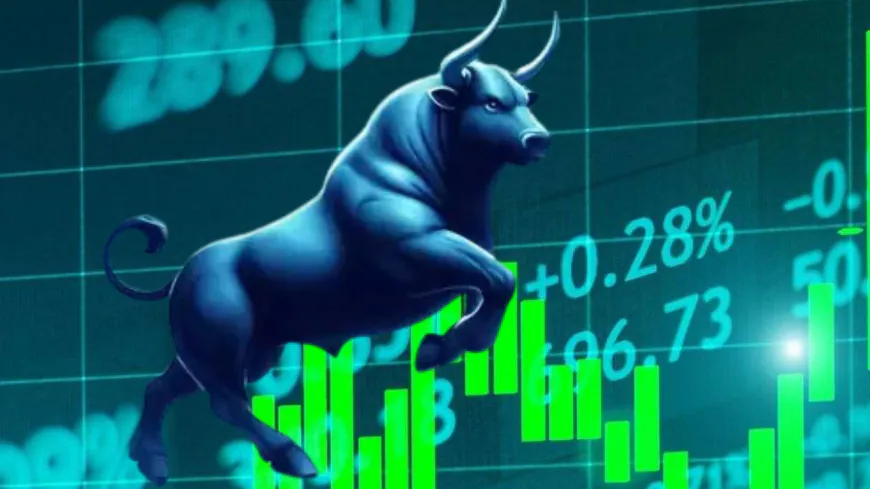 नेप्सेमा सामान्य वृद्धि, कारोबार रकम झण्डै ११ अर्ब रुपैयाँ