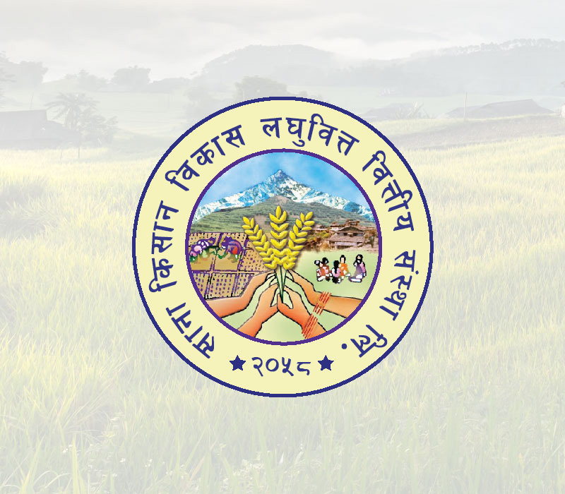 साना किसान लघुवित्तको नाफा ५४ करोड ५० लाख, ईपीएस घटेर १६.८५ रुपैयाँमा सीमित