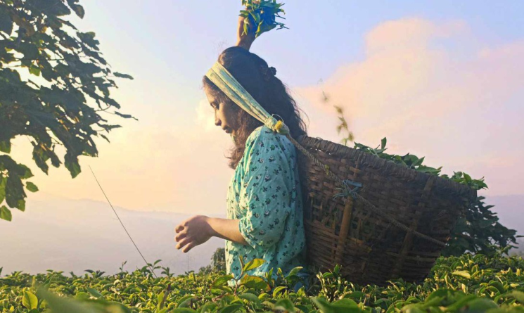 कोशी प्रदेशमा ‘उदय परियोजना’ सञ्चालन, तीन हजार रोजगारी सिर्जना हुने