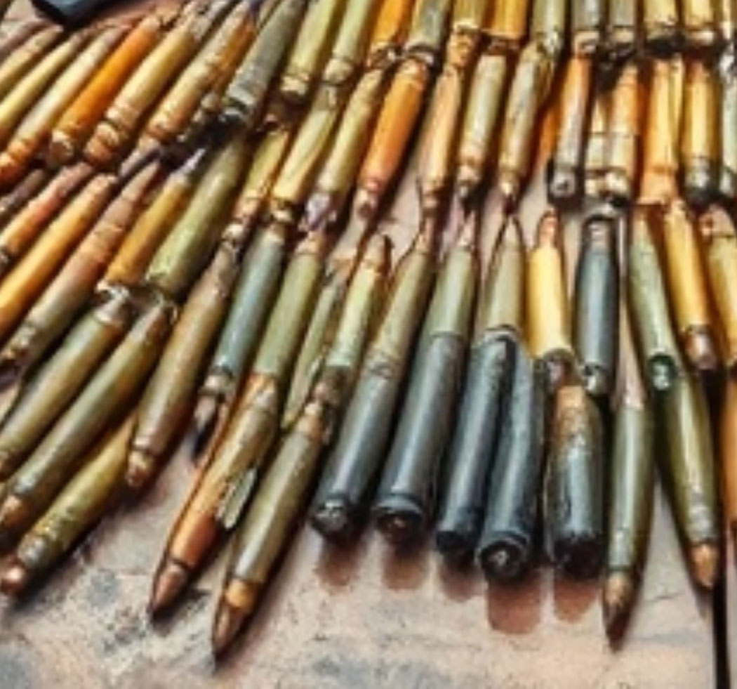 बेवारिसे अवस्थामा ११ राउण्ड गोली फेला