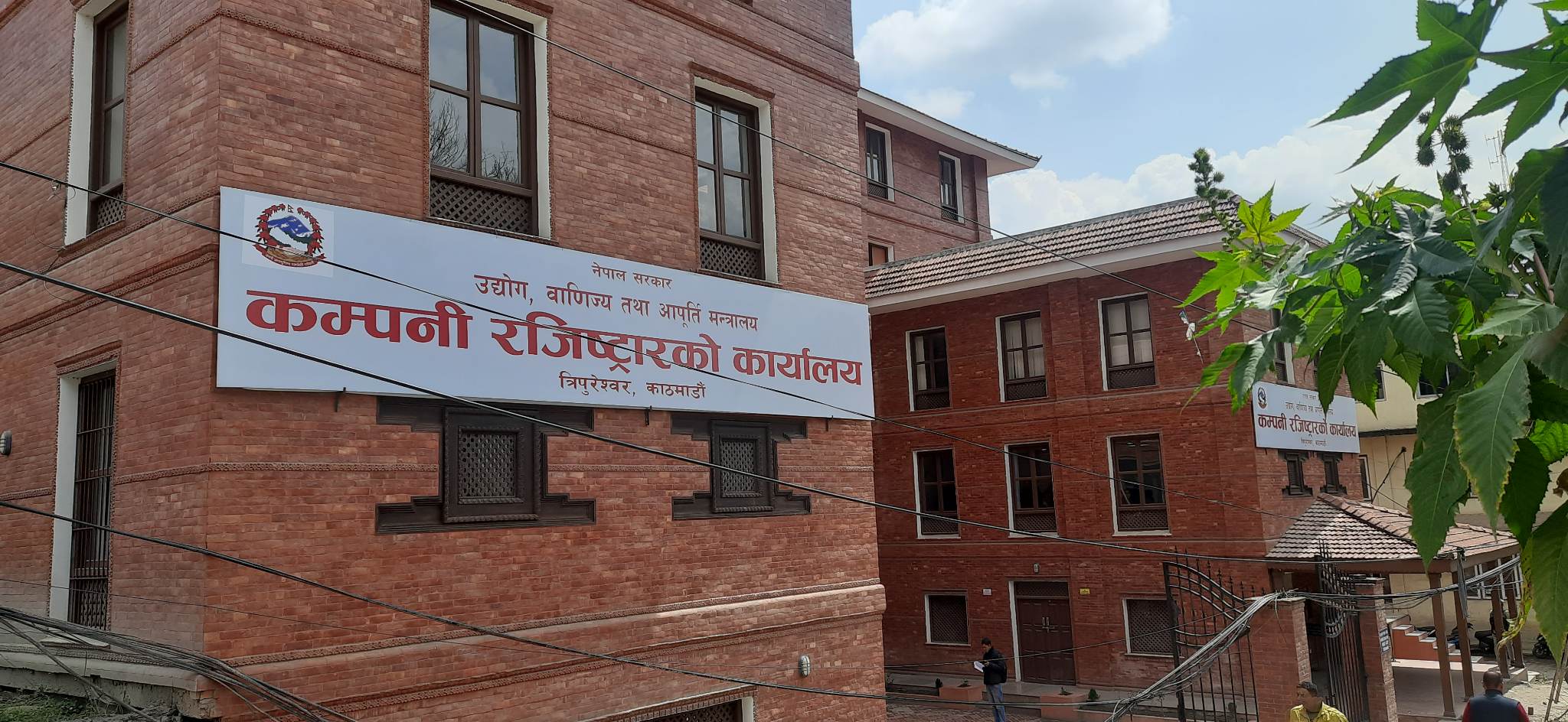कम्पनी ऐन २०६३ विस्थापनको तयारी, नयाँ कम्पनी ऐन २०८३ ल्याउने प्रक्रिया अघि